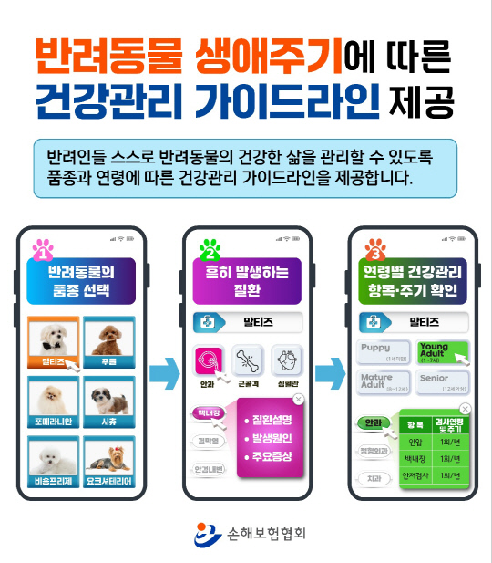 손해보험협회가 반려동물 생애주기에 따른 맞춤형 건강관리 가이드라인을 마련한다. [사진=손해보험협회]